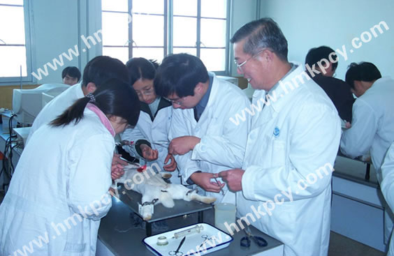 楊鳴澤和中國中醫科學院專家一起參加動物實驗.jpg